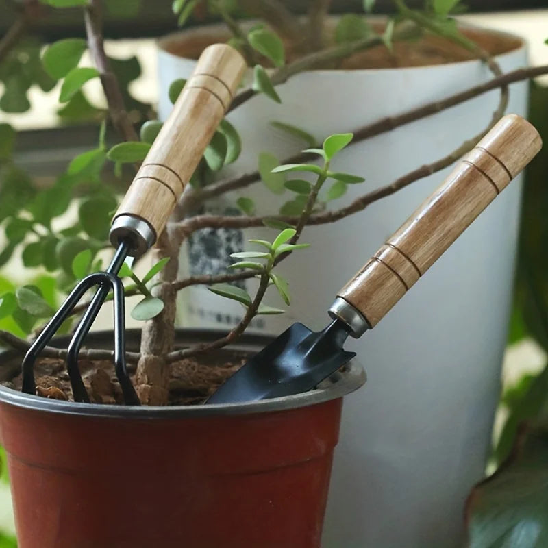 Kit de Jardinagem para Vasos e Suculentas