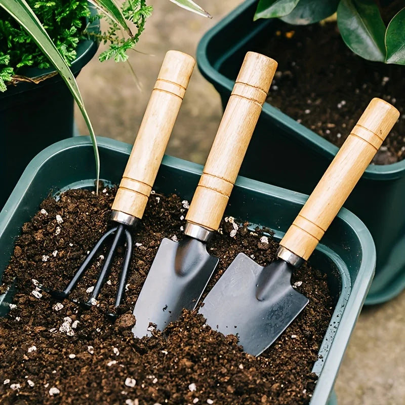 Kit de Jardinagem para Vasos e Suculentas