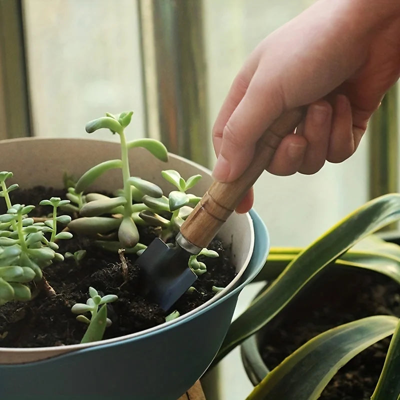 Kit de Jardinagem para Vasos e Suculentas