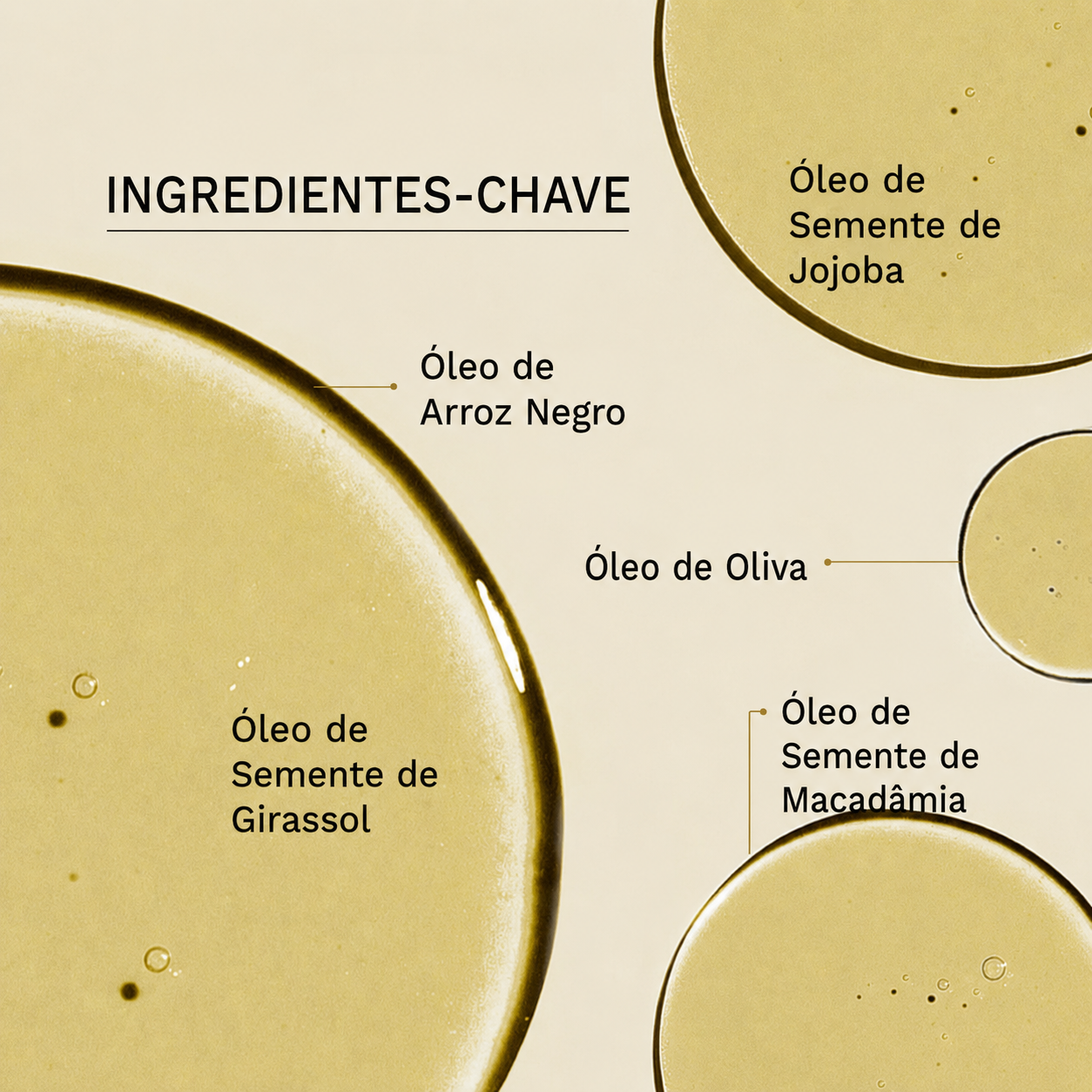 Óleo de Limpeza Facial Haruharu Wonder | Arroz Negro Hidratante