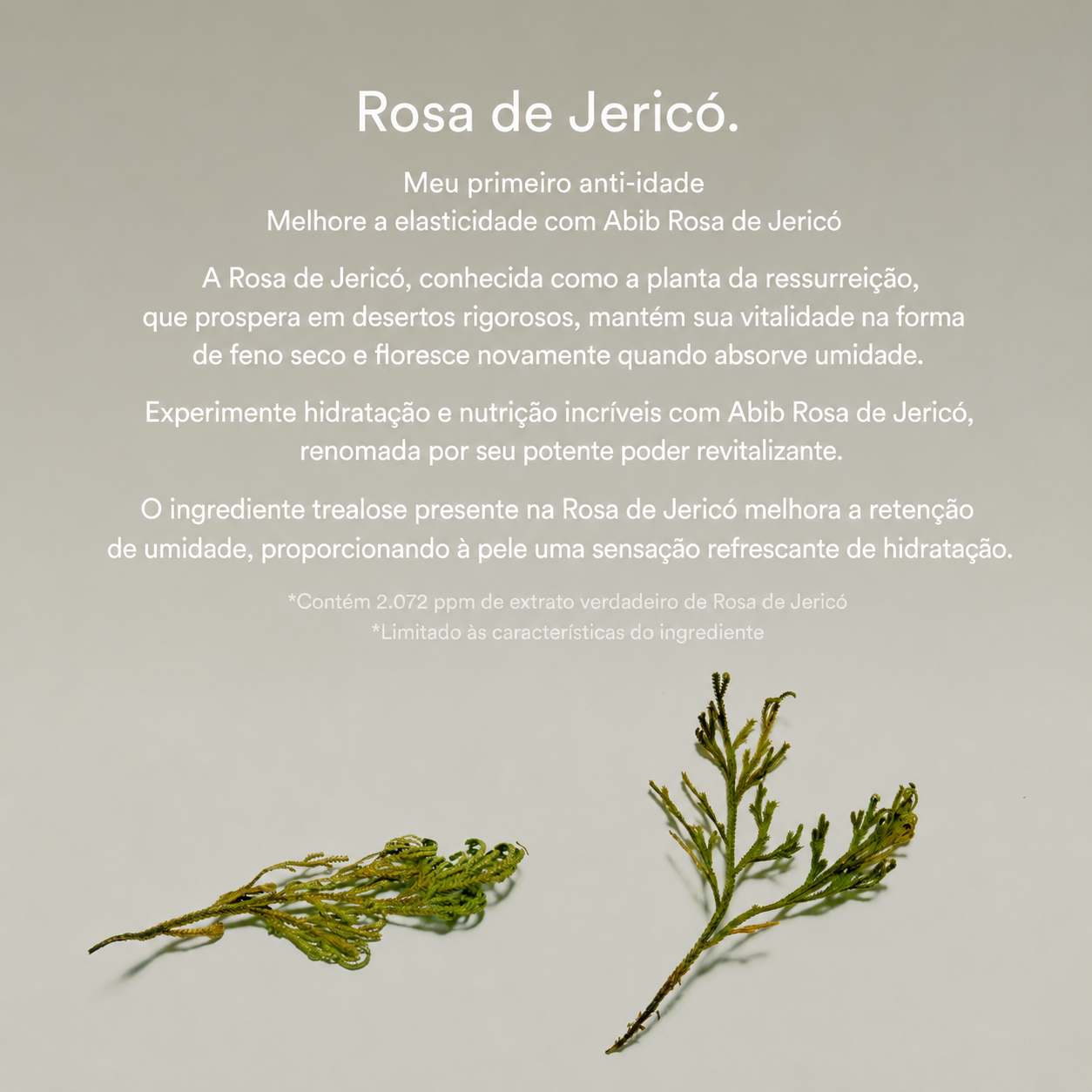 Sérum Ácido Hialurônico Abib Jericho Rose | Bakuchiol Firmador