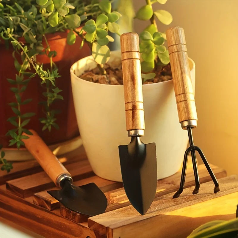 Kit de Jardinagem para Vasos e Suculentas