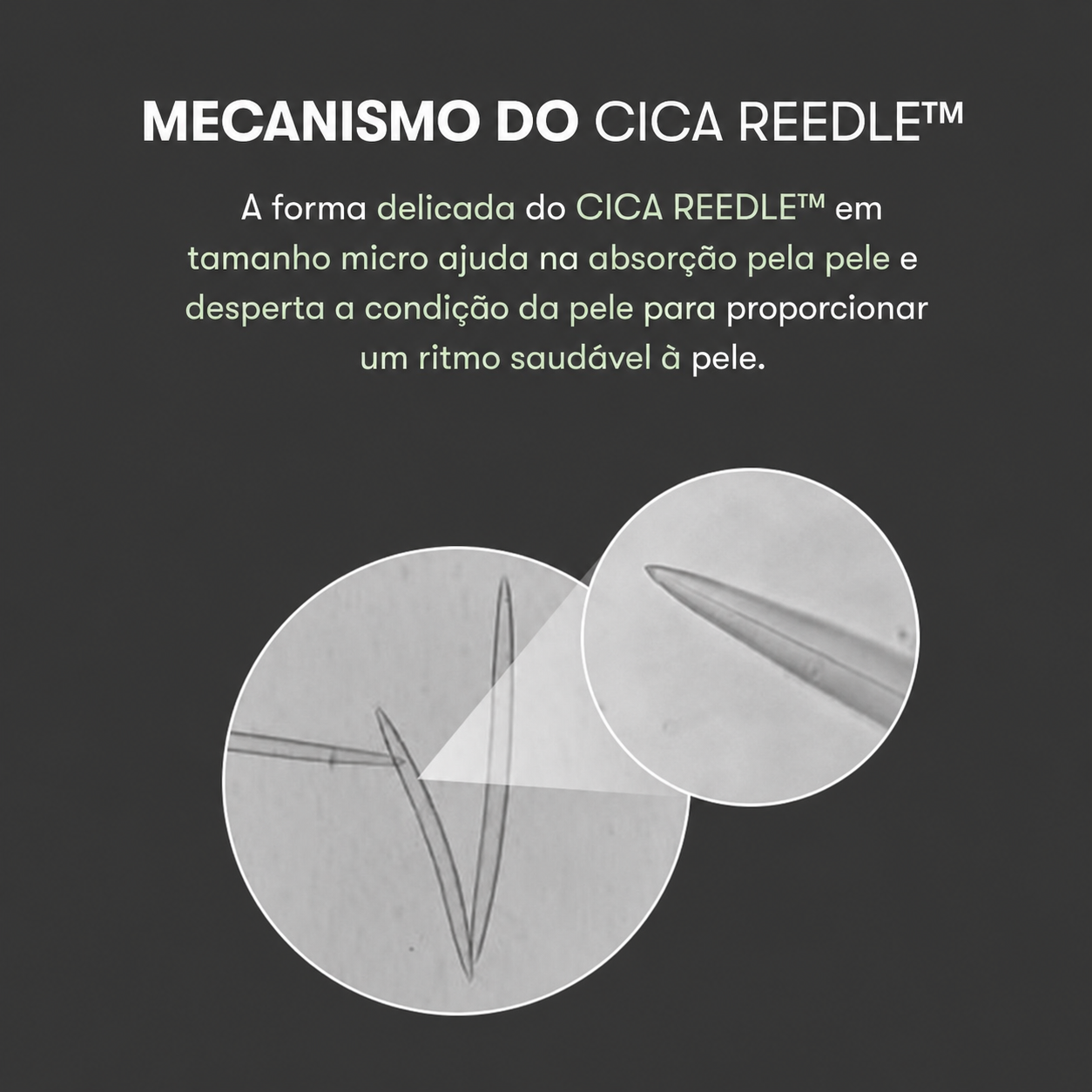VT Cosmetics pdrn reedle shot
