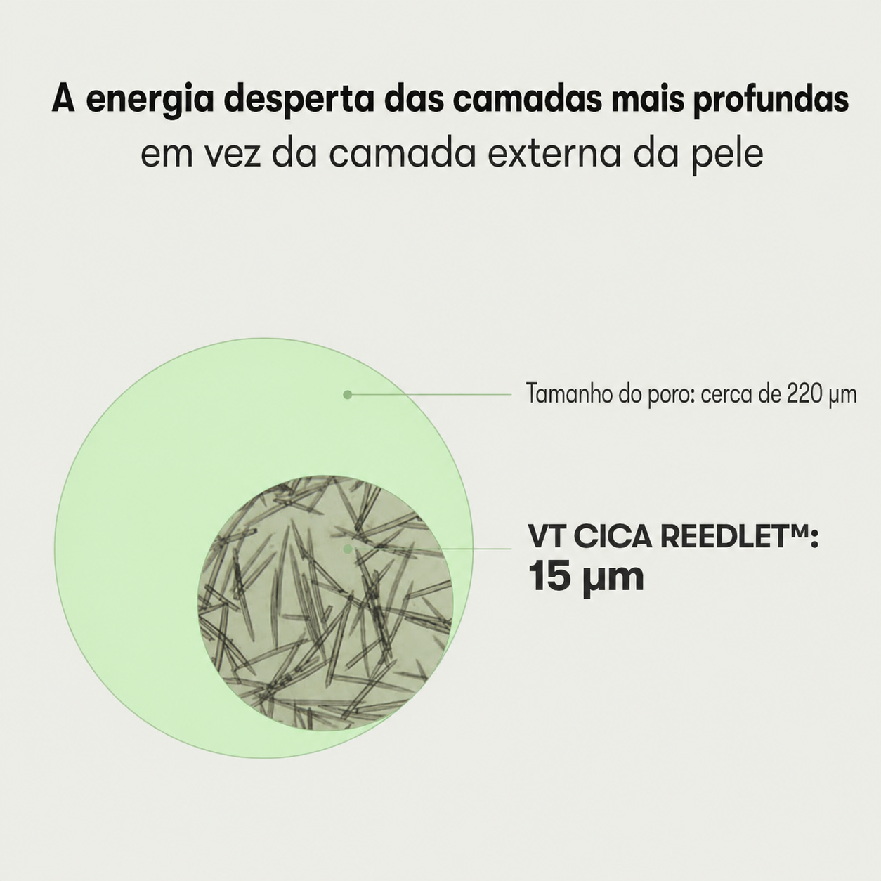 VT Cosmetics pdrn reedle shot